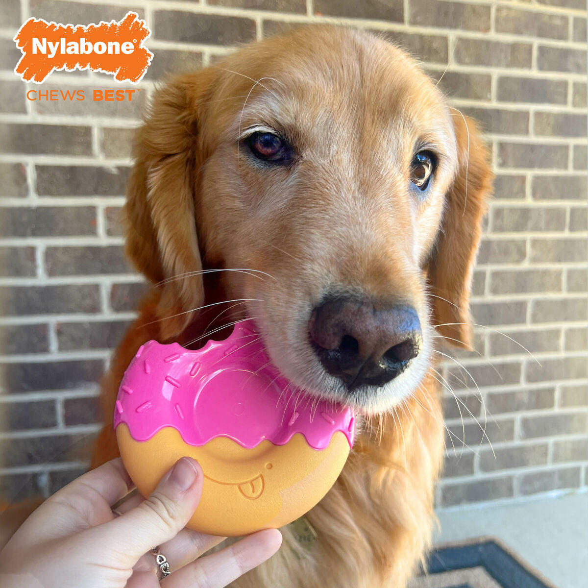 Dog toy Nylabone Pink Bacon L-0