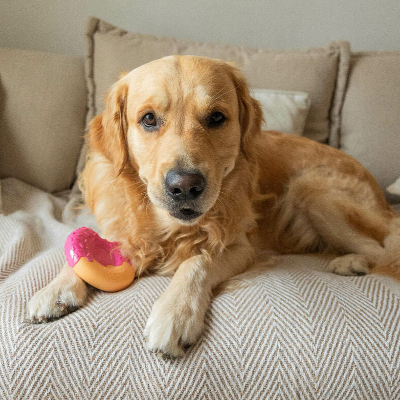 Dog toy Nylabone Pink Bacon L-1