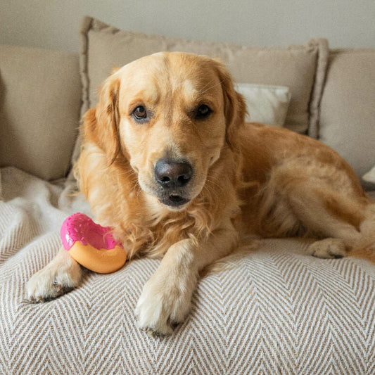 Dog toy Nylabone Pink Bacon L-1