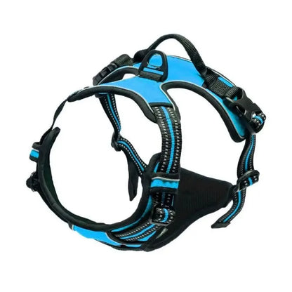 Comfort Leather Dog Harness & Leash Set