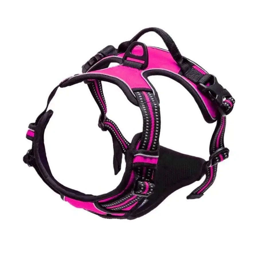 Comfort Leather Dog Harness & Leash Set