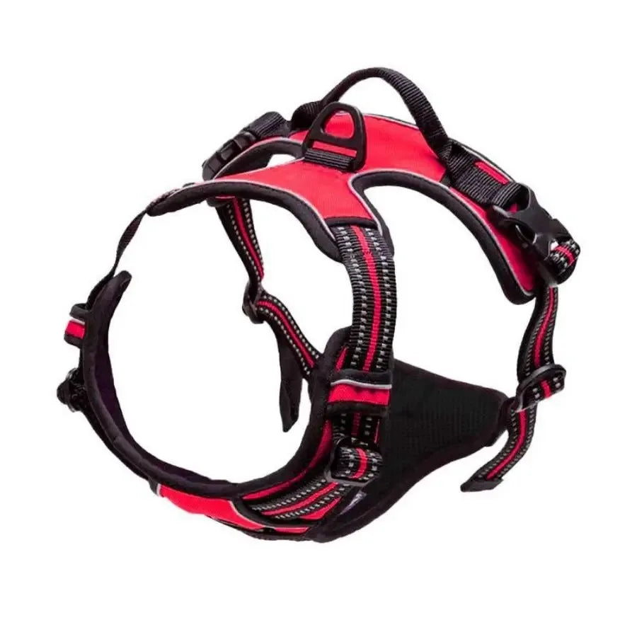 Comfort Leather Dog Harness & Leash Set