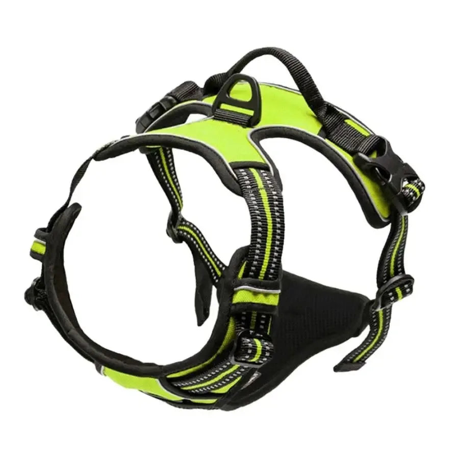 Comfort Leather Dog Harness & Leash Set