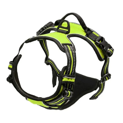 Comfort Leather Dog Harness & Leash Set