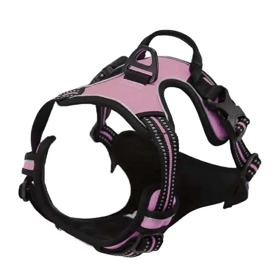 Comfort Leather Dog Harness & Leash Set