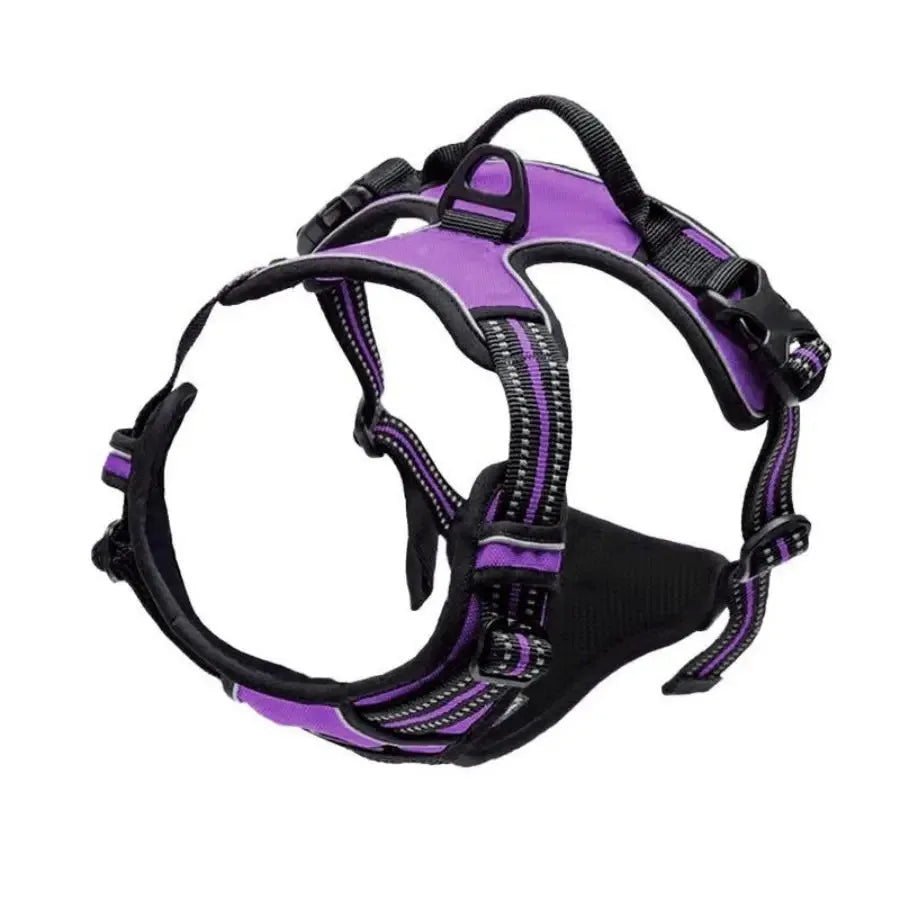 Comfort Leather Dog Harness & Leash Set