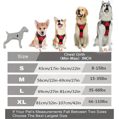 Comfort Leather Dog Harness & Leash Set
