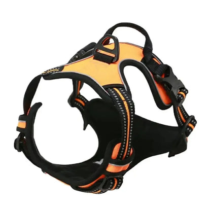 Comfort Leather Dog Harness & Leash Set