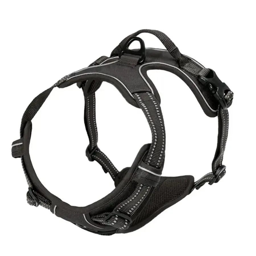 Comfort Leather Dog Harness & Leash Set